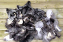 Fox pelt, Real fur scraps, Mix of real fur pieces, Unsorted natural fox fur for crafts, Material for DIY, Taxidermy scraps, Raw materials