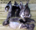 Fox pelt, Real fur scraps, Mix of real fur pieces, Unsorted natural fox fur for crafts, Material for DIY, Taxidermy scraps, Raw materials