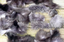 Fox pelt, Real fur scraps, Mix of real fur pieces, Unsorted natural fox fur for crafts, Material for DIY, Taxidermy scraps, Raw materials