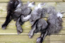 Fox pelt, Real fur scraps, Mix of real fur pieces, Unsorted natural fox fur for crafts, Material for DIY, Taxidermy scraps, Raw materials