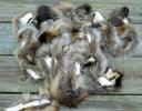 Remnants of Raccoon Fur, Fur Pieces for Crafts, Real Raccoon Fur Scraps, Unsorted Natural Fur for Crafts or Accessories, Taxidermy Scraps
