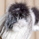 Mink and Fox Fur Winter Hat for Women, Real Fur Beanie with Mini Pompoms, Warm Fur Hat, White Winter Hat, Cold Weather Hat, Teen Girl Gift