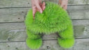 Neon Green Trapper Hat, Real Raccoon Fur & Leather Hat With Earflaps, Oversized Winter Hat, Vibrant Ushanka, Gift For Teen Daughter