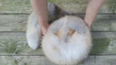 Gold Island Fox Fur Davy Crockett Hat, Detachable Tail Winter Cap for Men, 2-in-1 Winter Bomber Cap, Real Fur Hunting Headwear, Gift For Him