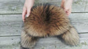 Oversized Ushanka For Woman, Real Raccoon Fur Trapper Hat Women, Fluffy Aviator Hat, Fur Bomber Hat, Leather Warm Hat, Cold Weather Hat