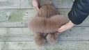 Warm Winter Fur Hood, Real Fur Bonnet with Ear Flaps, Knitted Fur Hat, Fox and Mink Fur, Women's Fur Hat, Teen Girl Fur Hat, Xmas Gift Idea