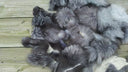 Fox pelt, Real fur scraps, Mix of real fur pieces, Unsorted natural fox fur for crafts, Material for DIY, Taxidermy scraps, Raw materials