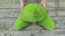 Men's Neon Green Raccoon Fur Trapper Hat, Vibrant Aviator Hat, Real Leather Bomber Hat, Fluffy Ushanka, Hat With Ear Flaps, Gift For Him