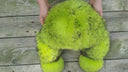 Neon Green Raccoon Fur Trapper Hat, Vibrant Aviator Hat, Women Real Leather Bomber Hat With Ear Flaps, Fluffy Ushanka, Granddaughter Gift