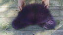 Real Fur Trapper Hat for Men, Purple Raccoon Fur Hat, Warm Winter Hat, Ushanka Leather Hat, Fur Bomber Hat, Earflaps Hat, Gift for Boyfriend