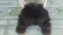 Premium Raccoon Fur Trapper Hat in Brown, Warm Winter Hat For Her, Womens Bomber Hat, Fluffy Aviator Hat, Leather Ushanka, Gift For Sister